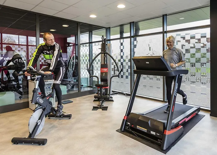 Ibis Styles Le Mans Sud 3*